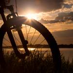 Safety Tips For Riding Your Bike At Night