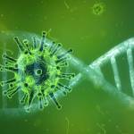 Nursing Home Negligence Attorney Assisting Clients in Florida With Coronavirus Claims