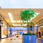 I Got Injured at a Florida Mall – Who’s at Fault?