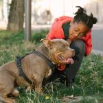 Are Certain Dog Breeds Banned in Miami?